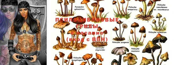молекула духа Белоозёрский