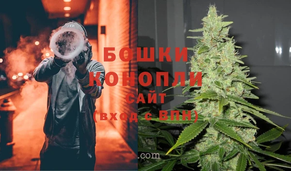 молекула духа Белоозёрский