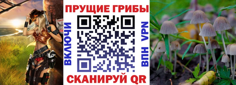 что такое   Онега  кракен сайт  Галлюциногенные грибы мицелий 